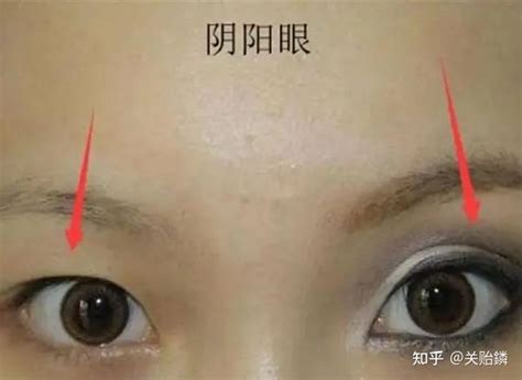 女人大細眼面相|面相看眼睛教学：决定人生运势的眼型 （上篇）